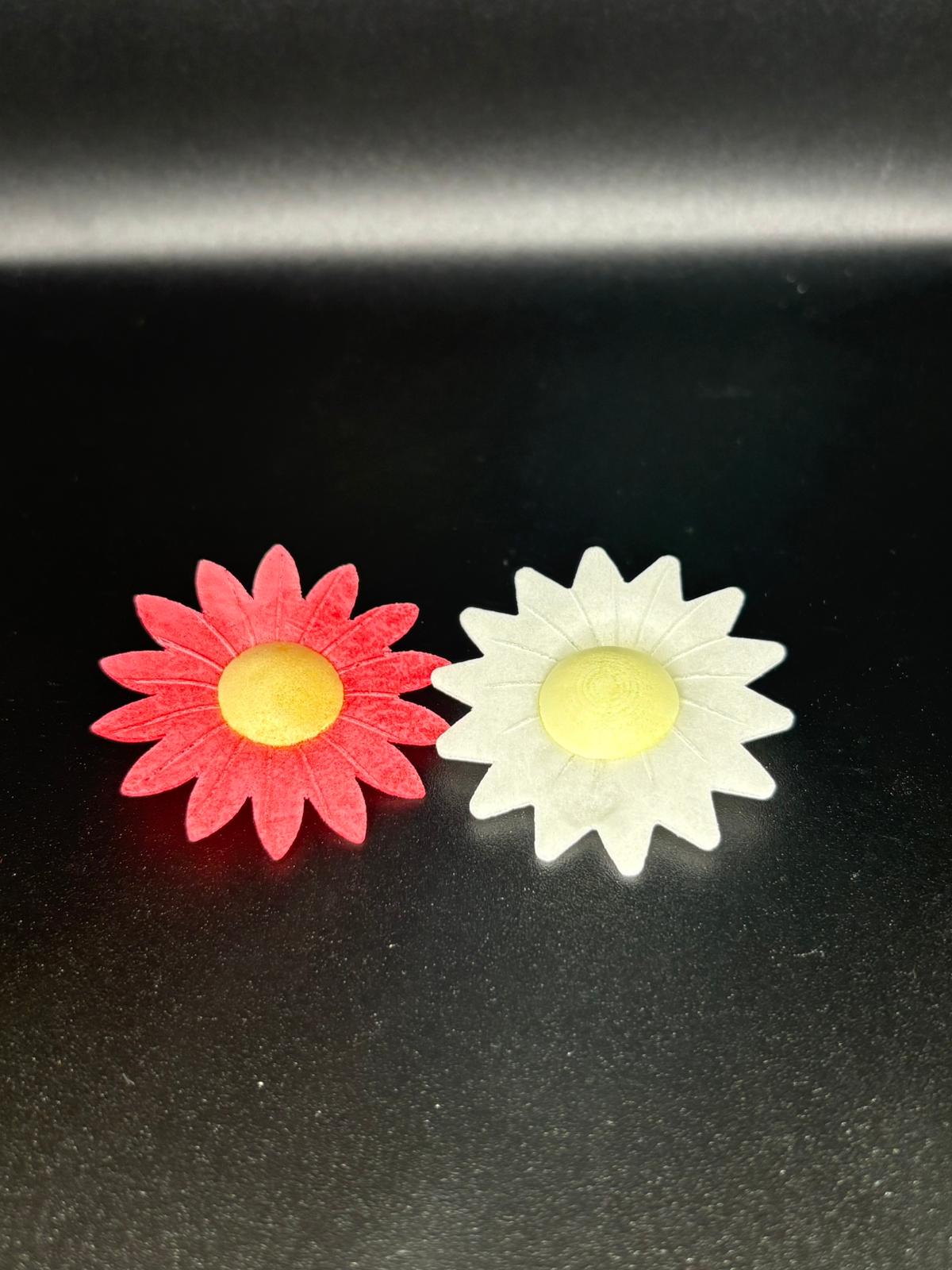 Fiori piatti in ostia