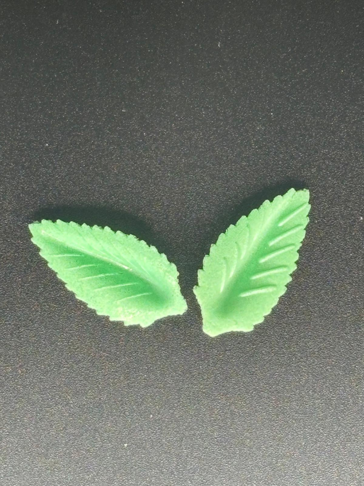 Foglia grandi in ostia